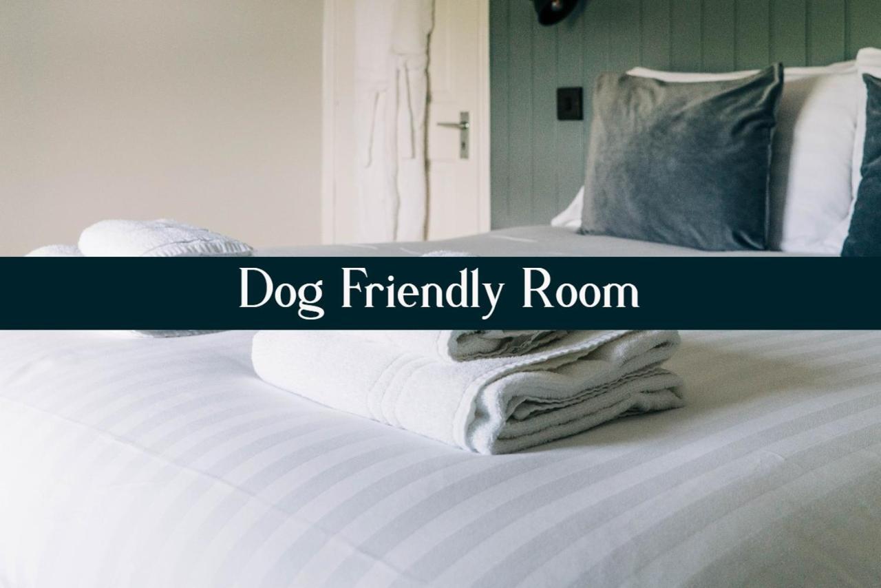 Bryn Berwyn Country House Tresaith Penbryn ห้อง รูปภาพ